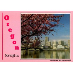 Carte postale Portland Oregon Springtime Willamette River cerisiers États-Unis