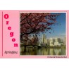 Carte postale Portland Oregon Springtime Willamette River cerisiers États-Unis
