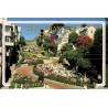 Carte postale moderne San Francisco Lombard Street The World's Crookedest Street Californie