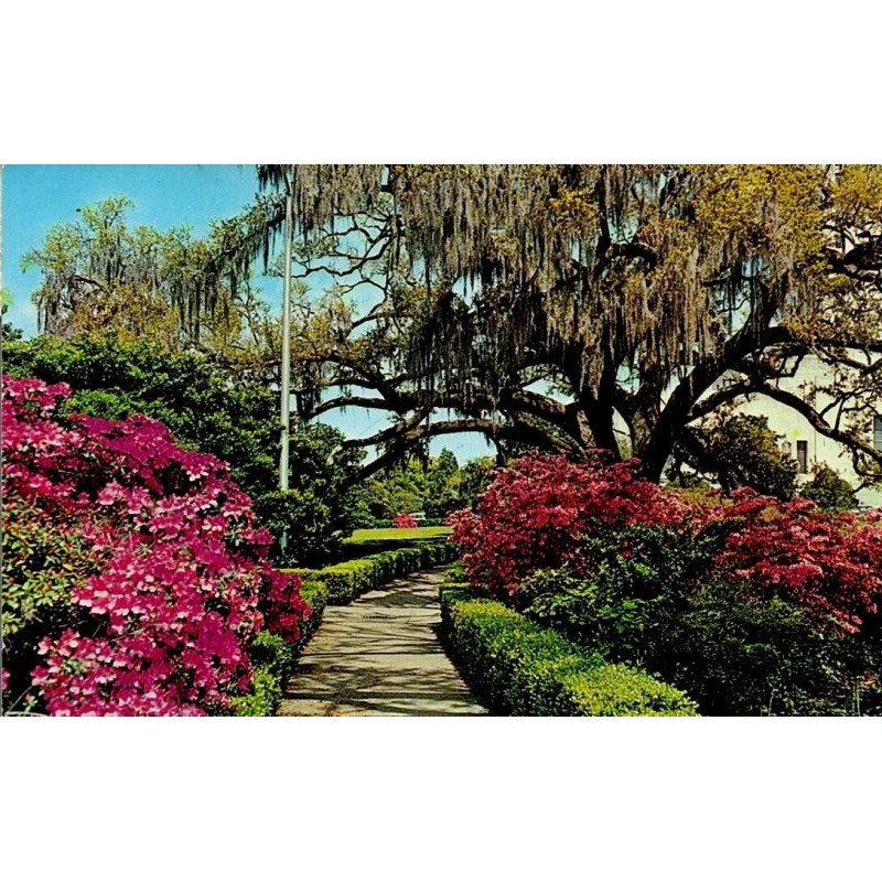 Carte postale moderne Baton Rouge Early Spring in Louisiana Capitol Gardens 1994