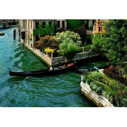 Carte postale moderne Venise Grand Canal gondole Canal Grande Italie