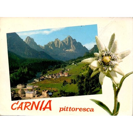 Forni Avoltri Carnia avec edelweiss et panorama alpin Italie Carte Postale CPSM