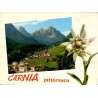 Forni Avoltri Carnia avec edelweiss et panorama alpin Italie Carte Postale CPSM