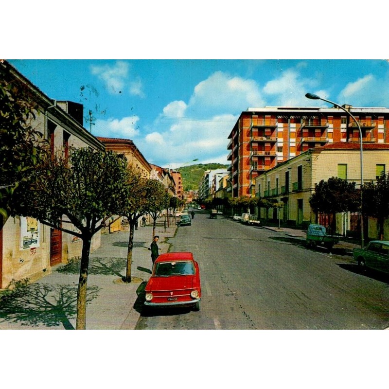 Viale Stazione à Nicastro en Calabre Italie Carte Postale CPSM