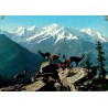 CPSM Alpes italiennes groupe de chamois devant des sommets enneigés