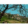 CPSM Bergamo Città Alta Lombardie Italie carte postale circulée 1980