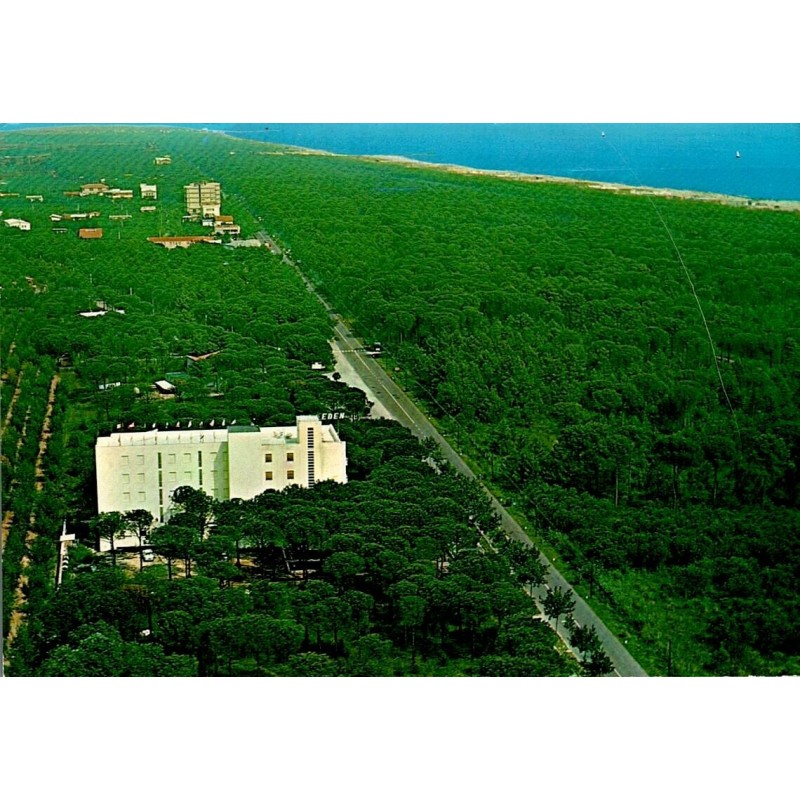 CPM Marina Romea Ravenna panorama pinède Italie carte postale circulée 1967