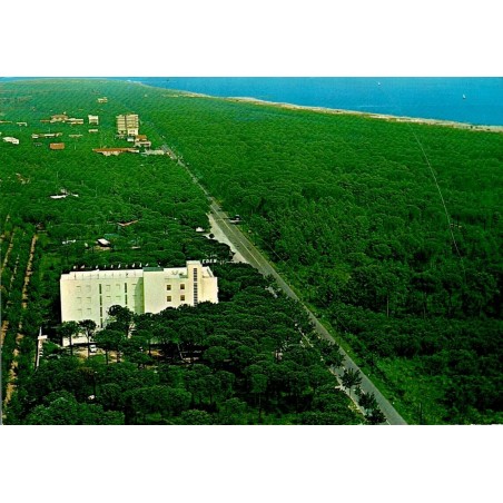 CPM Marina Romea Ravenna panorama pinède Italie carte postale circulée 1967