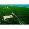 CPM Marina Romea Ravenna panorama pinède Italie carte postale circulée 1967
