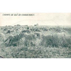 CPA champs de blé du Canada Ouest avec javelles dans les Prairies canadiennes