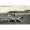 CPA Des Agneaux Québec Canada ferme élevage ovin ancien