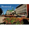 CPM Montréal place Jacques-Cartier Hôtel de Ville colonne Nelson Québec