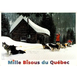 CPM Québec chiens de traîneau huskies chalet neige Canada