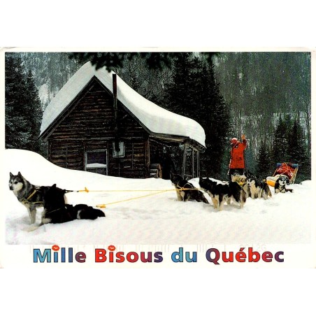 CPM Québec chiens de traîneau huskies chalet neige Canada