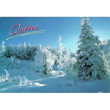 CPM Québec scène hiver forêt enneigée Canada