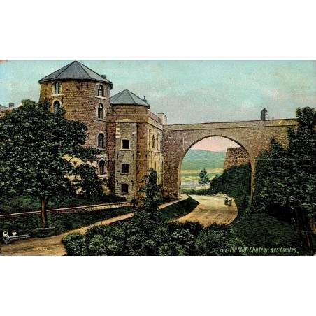 CPA Namur Château des Comtes colorisée à la Citadelle de Namur en Belgique