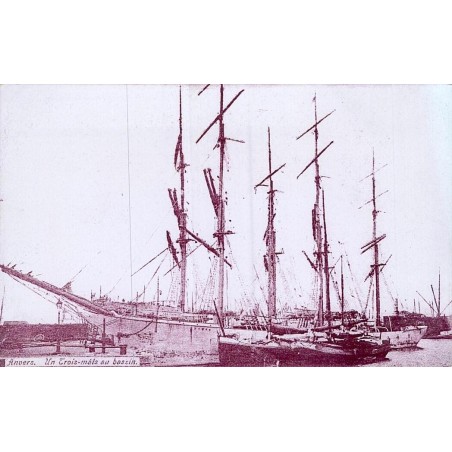 CPA Anvers trois-mâts dans le bassin du port de Belgique