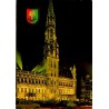 CPM Hôtel de Ville de Bruxelles illuminé de nuit Grand-Place Belgique circulée en 1974