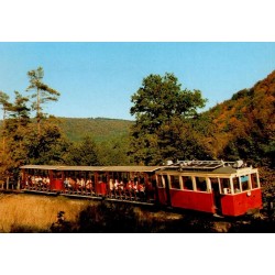 CPSM Han-sur-Lesse tram touristique Grottes de Han Belgique carte postale