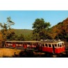 CPSM Han-sur-Lesse tram touristique Grottes de Han Belgique carte postale