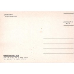 CPSM Dinant Vue Générale Aérienne Belgique