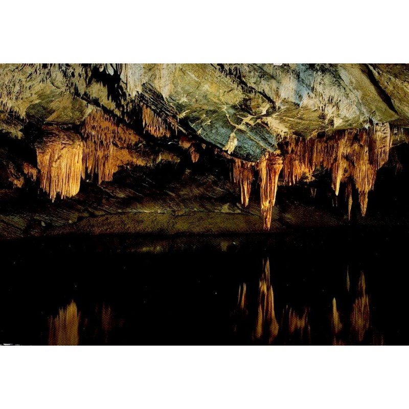 CPSM Grotte de Han-sur-Lesse Salle des Draperies Belgique carte postale