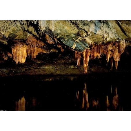 CPSM Grotte de Han-sur-Lesse Salle des Draperies Belgique carte postale