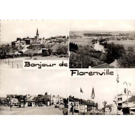 CPSM multivues Florenville vallée de la Semois Belgique circulée