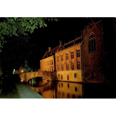 CPM Bruges Groene Rei Quai Vert vue nocturne Belgique circulée