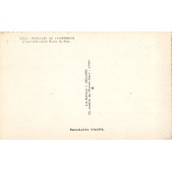 Carte postale ancienne Chartreuse – Route du Frou panoramique