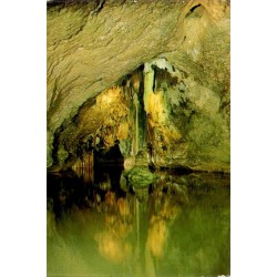 CPSM Grottes de Remouchamps La Palmier Belgique rivière souterraine