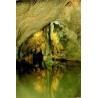 CPSM Grottes de Remouchamps La Palmier Belgique rivière souterraine