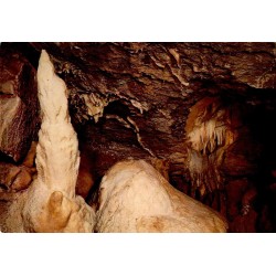 CPSM Grottes de Neptune La Vierge et le mamelon Petigny Couvin Belgique