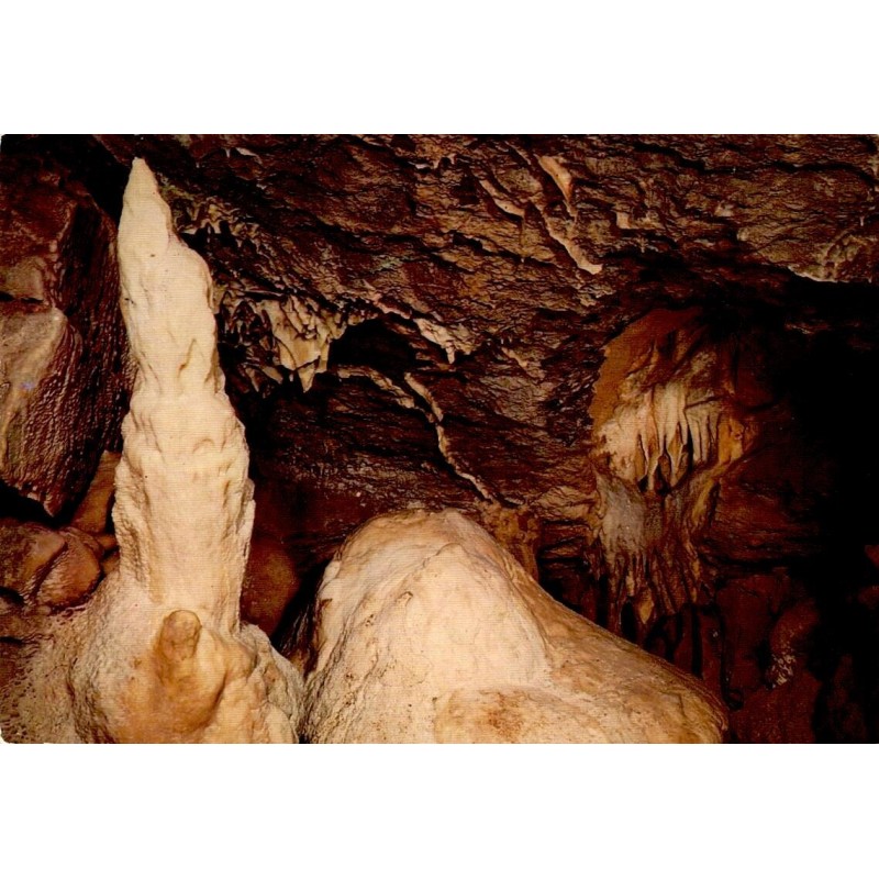 CPSM Grottes de Neptune La Vierge et le mamelon Petigny Couvin Belgique