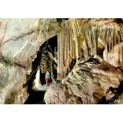 CPSM Grotte de Remouchamps Les Tuyaux d'Orgues Belgique