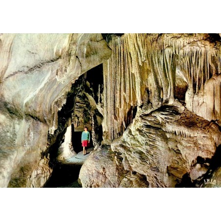 CPSM Grotte de Remouchamps Les Tuyaux d'Orgues Belgique