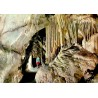 CPSM Grotte de Remouchamps Les Tuyaux d'Orgues Belgique