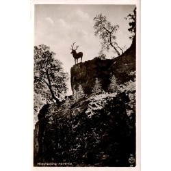CPSM Höllental Hirschsprung monument au cerf dans les gorges de la Forêt-Noire en Allemagne