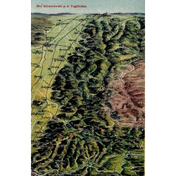 CPA Forêt-Noire Allemagne carte panoramique ancienne à vol d’oiseau avec villes et reliefs