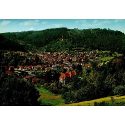 CPSM Bad Liebenzell Schwarzwald château Forêt-Noire Allemagne vue panoramique