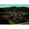 CPSM Bad Liebenzell Schwarzwald château Forêt-Noire Allemagne vue panoramique