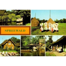 CPM Spreewald Allemagne canaux costumes traditionnels sorabes barques Brandebourg