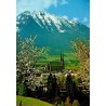 CPM St Johann im Pongau Autriche église Heukareck Alpes Salzbourg paysage montagne