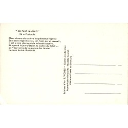 Carte postale ancienne Au Pays Landaise – Pastorale Landes CPA