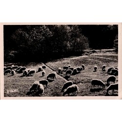 54 - PASTORALE - "AU PAYS LANDAIS"