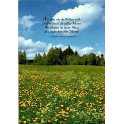 Prairie fleurie et forêt avec citation du poète romantique allemand Joseph von Eichendorff