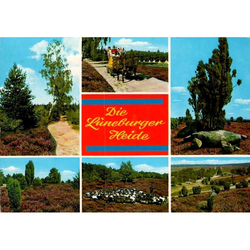 Soltau Lüneburger Heide paysages de lande troupeau de moutons carte postale 1989