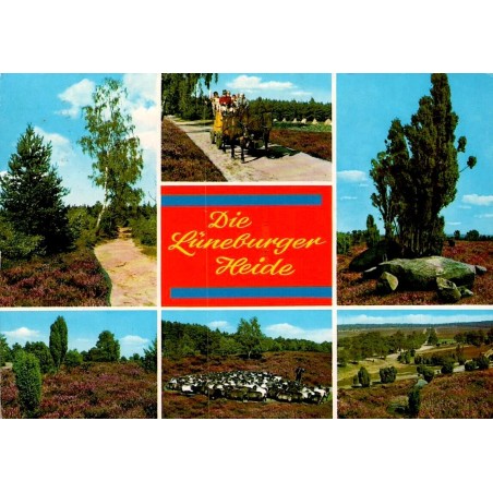 Soltau Lüneburger Heide paysages de lande troupeau de moutons carte postale 1989