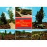 Soltau Lüneburger Heide paysages de lande troupeau de moutons carte postale 1989