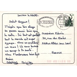 Soltau Lüneburger Heide Paysages et Moutons Carte Postale